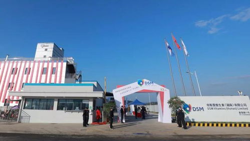 帝斯曼動物營養與保健衡陽布局，加速大中華區預混料市場拓展