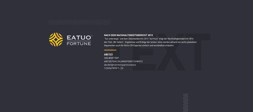 塑造卓越形象，鑄就財(cái)富投資企業(yè)的品牌之光